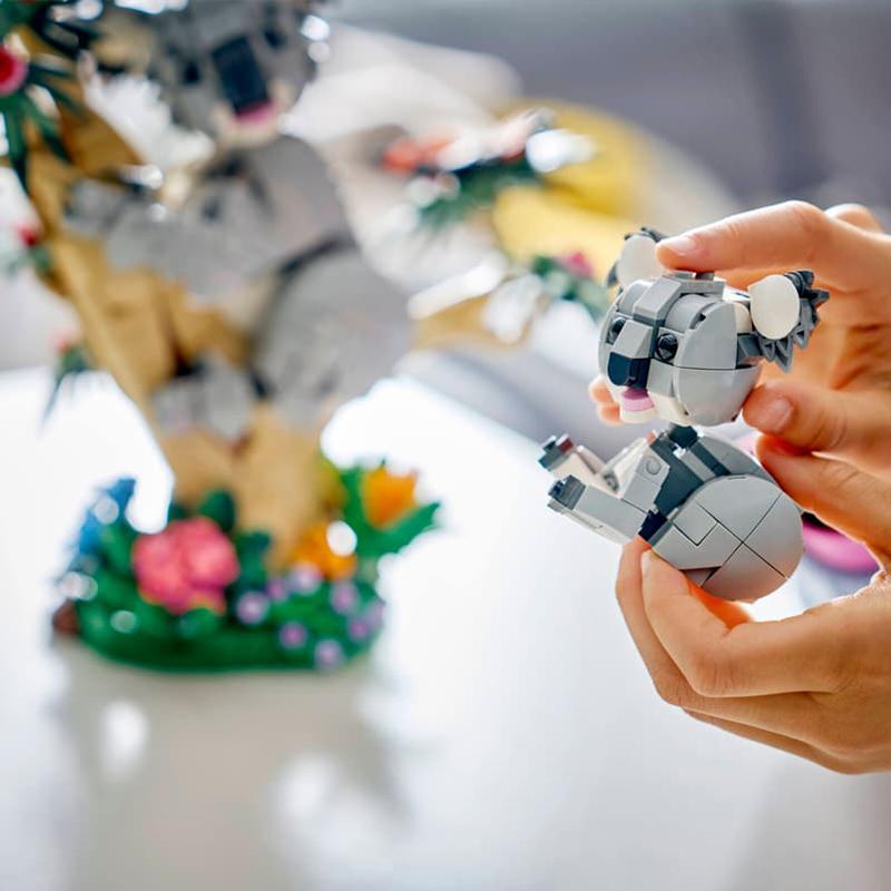 LEGO 31388 Creator 3-в-1: Дикая природа: Семья коал