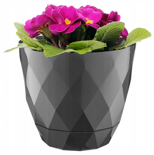 Plastic Pot With Saucer