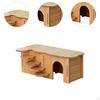 Hamster Habitat with Climbing Structure for Small Animals