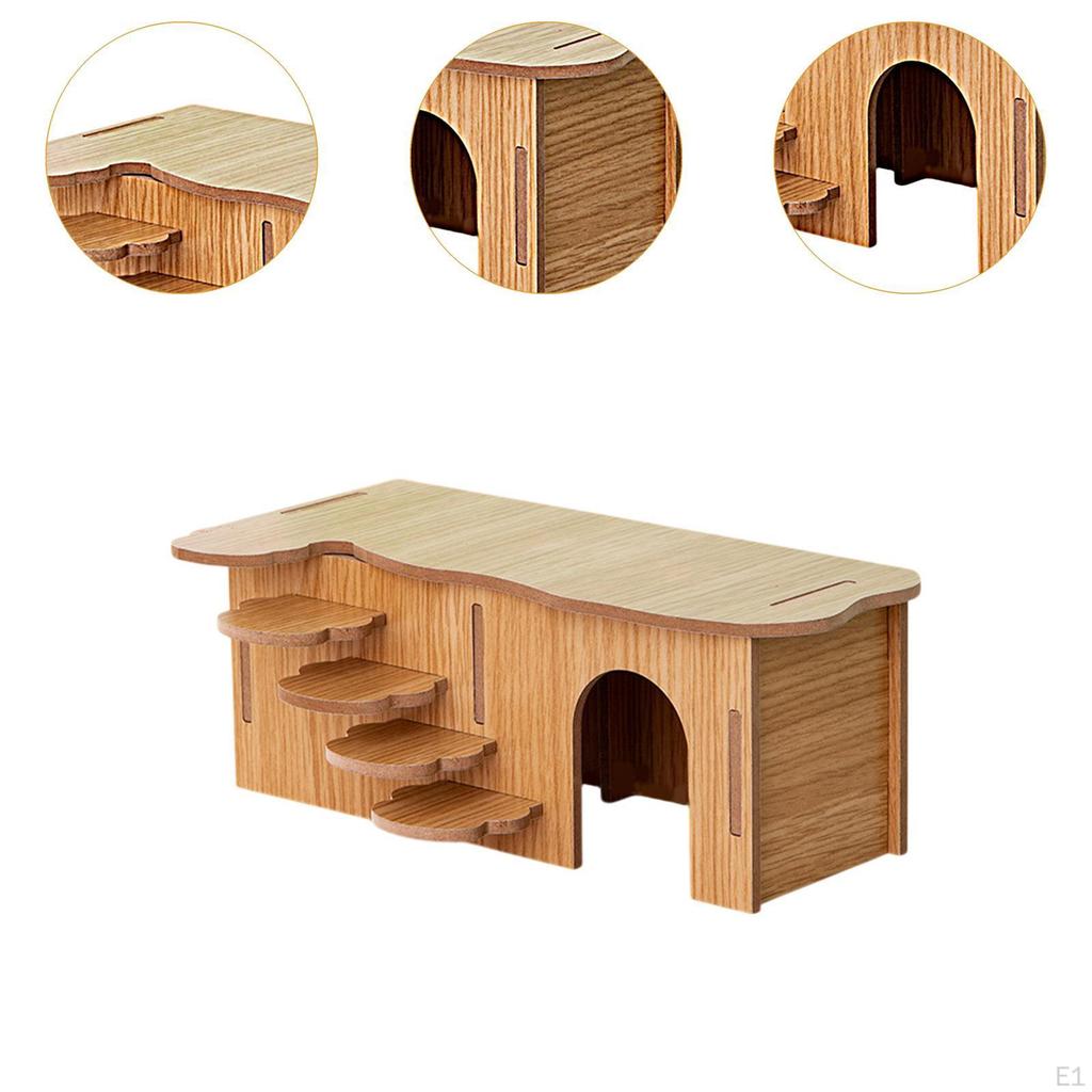 Hamster Habitat with Climbing Structure for Small Animals