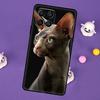 Чехол для телефона Samsung Galaxy M32 M52 M12 M13 M33 M23 M53 M15 M55 M31 M51 M14 M34 M54 M20 с изображением кошки Сфинкс