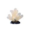 Decorative Luminous Coral Model Realistic Glowing Decor Coral Coral Reefs Ornaments  Aquarium