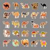 50 Camel Doodle Personality Cartoon Animal Children DIY Mobile Phone Case Water Cup Suitcase Sticker Waterproof