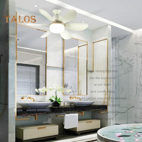 2-in-1 Ceiling Fan with Light Remote Control E27 Base Memory Function Dimmable 3 Speeds Modern Style Bedroom Ceiling Fan Light