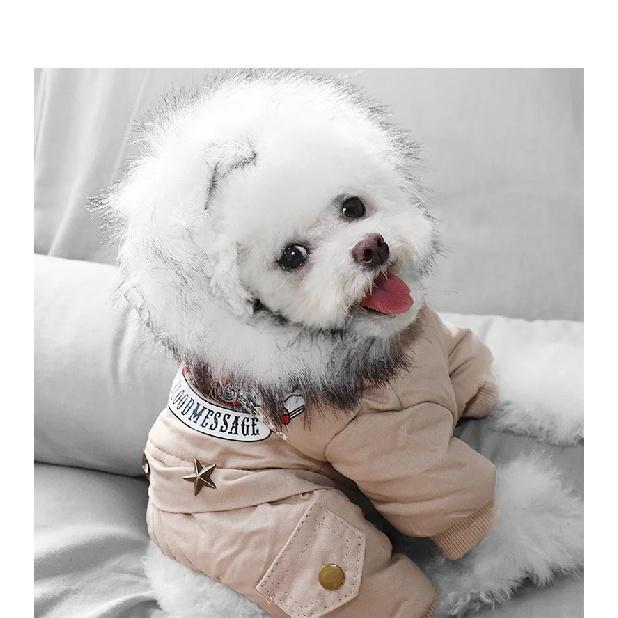 Dog clothes hooded cotton-padded clothes high-value locomotive decorative four-legged clothes winter warm and velvet