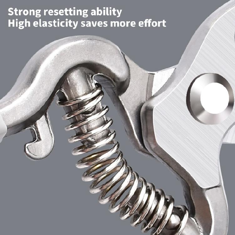 Секатор Садовые ножницы Сучкорез Секатор Обрезные ножницы Легкие ножницы Ножницы с длинной ручкой Украшения