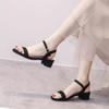 Sandals Women's Summer 2025 New Versatile Medium Heel Thick Heel with High Heels Black Soft Sole Work Large Size