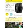 Nikon Mirrorless Camera Z Series Z30 16-50 VR Lens Kit + Cloth + Film + 64GB SD Card + Cleaning Kit + Remote + Wind Muff + Bag Black