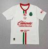Mexican Super League 2526 Cougar Tigers Mexico Leon Chivas Pachuca main football jersey unpopular jersey