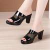 Women's Summer Shoes Sandals Female Block Heel Platform Slippers Slides Women High Heels Ladies Office Slipper