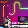 RGBIC Wifi Neon Light LED Strip Smart WIFI APP RGB Chasing Dream Color Waterproof Flexible Tape Alexa Google Home Garden Decoration