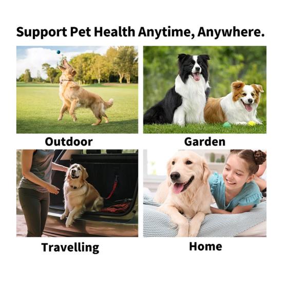 Dog Ear Cleaner Wipes Dog Ear Infection Treatment Fast Relief from Ear Itching And Inflammation Otic Cleanser To Remove Wax Debris And Smelly