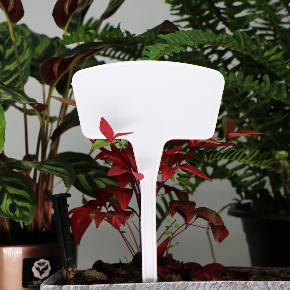 Высокие белые бирки для садовых растений в горшках, водонепроницаемые, устойчивые к ультрафиолетовому излучению, этикетки для теплиц, цветов, овощей, трав, маркеры для вывесок