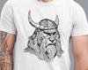 Графическая футболка с викингом-воином и львом, футболка ODIN VIKING, футболка с животным принтом мужская унисекс, футболка Викинги, футболка Вальхалла, подарок по скандинавской мифологии