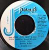 7-дюймовая пластинка BOUNTY KILLER The Lord Is My Light And My Salvati NONE Jammys Records 1995 Ямайка Регги Ска Даб Б/У