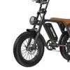 Deepower V8 Electric Dirt Bike with Dual Seat, 48V 20AH Battery, 20"x4.0" Fat Tires