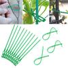 100 Pcs Reusable Plant Ties Adjustable Plant Twist Ties Self-locking Cable Ties for Indoor Outdoor Climbing Plants Cables Organization