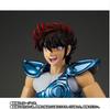 Tamashii Nation 2023 Limited Edition Saint Seiya Cloth Myth Pegasus Seiya Bronze (Original Cloth) <Original Version>