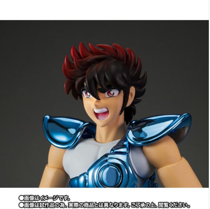 Tamashii Nation 2023 Limited Edition Saint Seiya Cloth Myth Pegasus Seiya Bronze (Original Cloth) <Original Version>