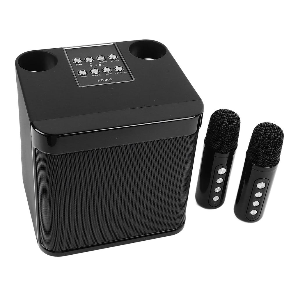 Маленький караоке-аппарат, перезаряжаемый портативный Bluetooth-динамик с микрофоном, черный для дома