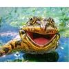 DIY 5D Алмазная картина Вышивка крестом Прекрасная лягушка Алмазная вышивка Рукоделие