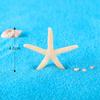 Colorful Five-Pointed Starfish Resin Fish Tank Starfish Landscaping Ornaments