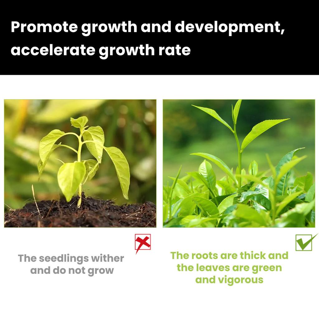 Раствор для удобрения растений - 50 мл Раствор для удобрения растений для сада Раствор для удобрения растений Жидкий раствор для стимуляции роста растений Садовые растения 50 мл