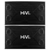 HiVi X1000 10-дюймовая KTV Караоке Акустическая Система Штекер CN (адаптер в комплекте)