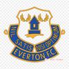 Everton Everton F C Activio International Ab Iron On Heat Transfer Printing Vinyl Patches Sticker for Clothes DIY Appliques Washable Patches