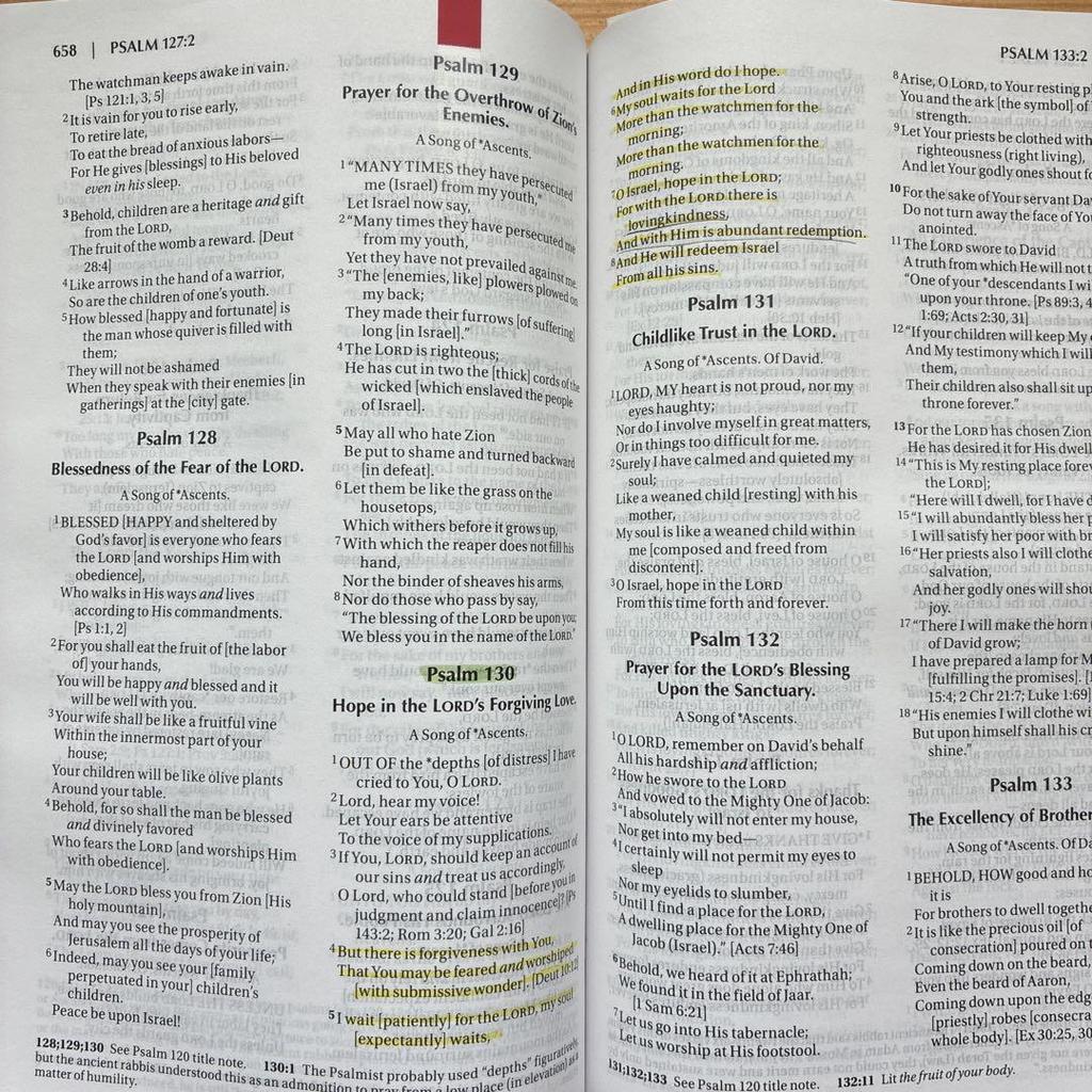 [ПОДЕРЖАННАЯ] УСИЛЕННАЯ СВЯТАЯ БИБЛИЯ