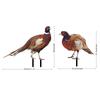 2 Pack Acrylic Stakes Garden Pheasants Stake Yard Art Outdoor Animal Decoration Lawn Patio Decorative Statue Sculpture