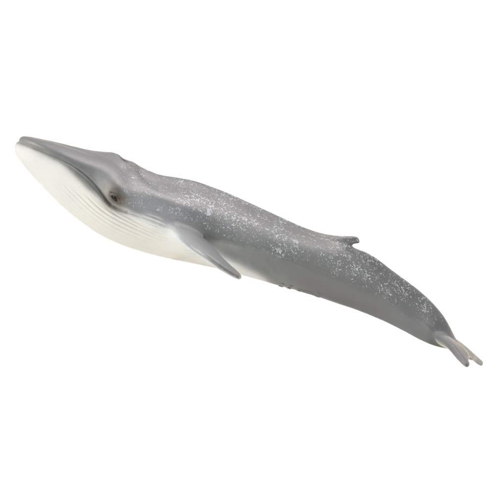 COLLECTA Синий кит 88834