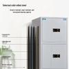Tiger ZG Series Filing Cabinet Safe