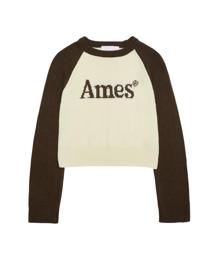 AMES-WORLDWIDE Basic Raglan Pullover Knit Brown