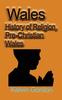 Книга Wales : History of Religion, Pre-Christian Wales