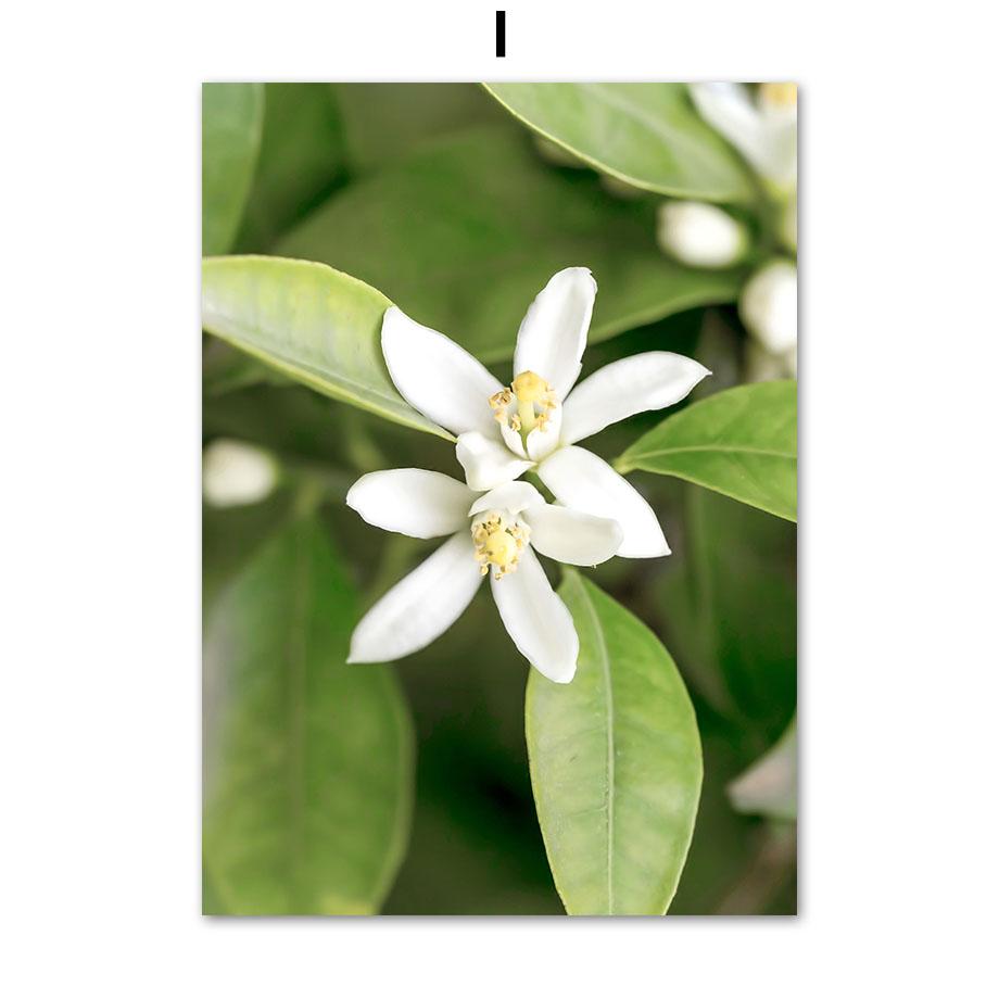 Зеленый лист лодка цветок лес горы водопад плакаты и принты холст живопись настенные художественные фотографии для декора гостиной