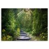 Печать на холсте, Тропинка в зеленом лесу