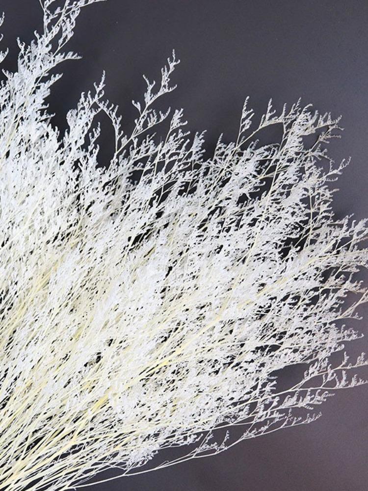 109 шт. Натуральные помпы, сушеные цветы, букет из пампасной травы с хвостиками кролика для домашнего декора в стиле бохо, свадебная цветочная композиция, деревенская вечеринка в фермерском доме