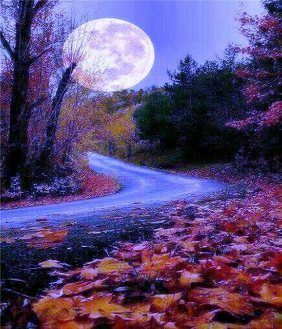 RUOPOTY Paint By Numbers Moon Wall Art Unique Gift DIY Frame Hand Painted Picture By Numbers Landscape For Living Room