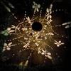 1PC Solar Dragonfly Lantern Metal Outdoor Hanging Light Waterproof Warm White LED Lamp for Garden Patio Yard Path Decor