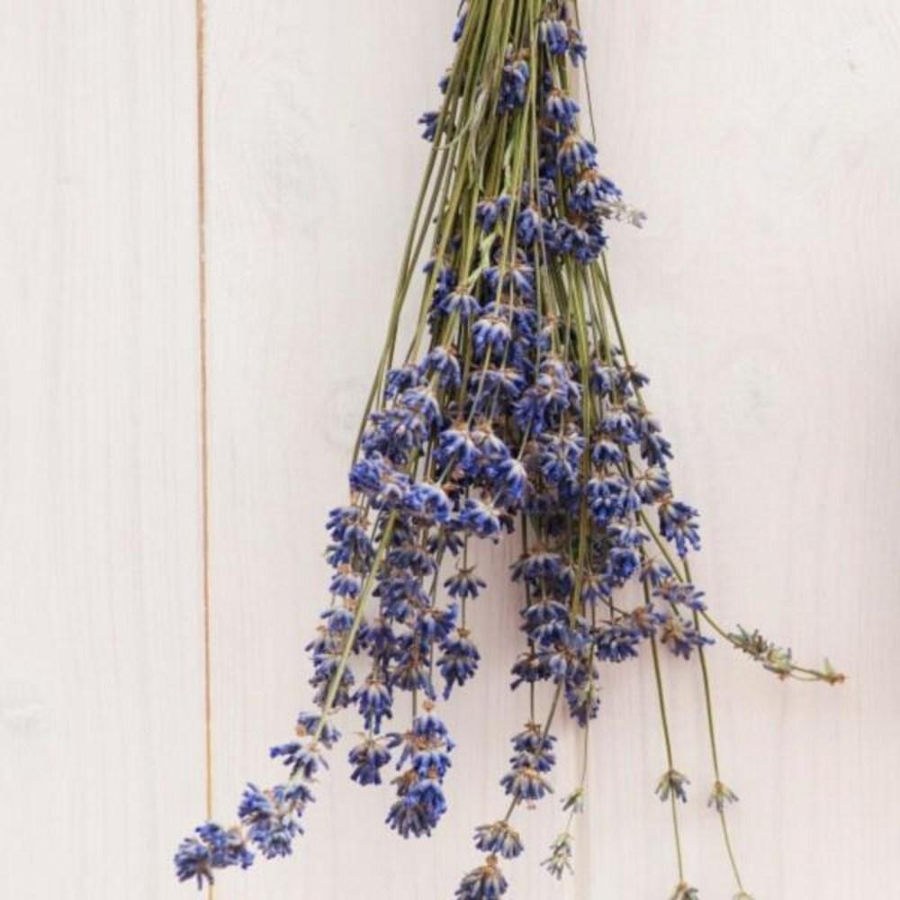 Manupactura Lavender Bath Salt Соль для ванны с лавандой 355 г, 1 шт., один предмет