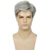 Men's Gray Handsome Fluffy Short Hair