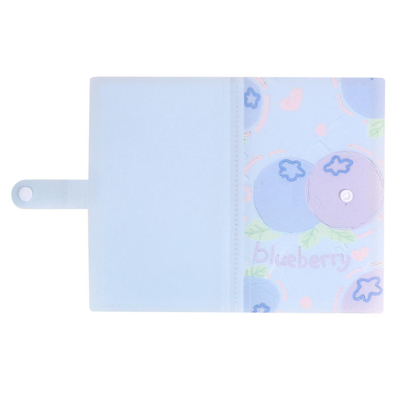 3-inch Large Capacity 240-Card Storage Album DIY Polaroid Photo Business Card Organizer with Durable Rectangular Binder for Home Office Travel Gift