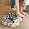 Модные граффити парусиновые туфли женские 2024 летние новые корейские версии толстая подошва увеличенная дышащая платформа женские вулканизированные туфли