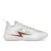 ABPT019-6 Мужские баскетбольные кроссовки Wade Son of Flash "White Hot" Белый/Серый/Серебристый