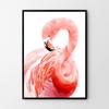 Плакат с розовым фламинго
