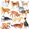 Oenux Dog Animals Model Action Figure Dobermann Shiba Inu Pomeranian Boxer Husky Puppy Figurines Cute Collection Toy Kids Gift