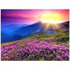 DIY 3D Diamond Painting Sunrise Embroidery Cross Craft Stitch Home Decor