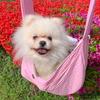 Daily Life Pet Dog Sling Bag Swaddle Carrying Bag Front Bag, Small, Pink, Korean Pet Shampoo
