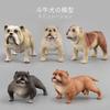 Simulation Animal Model Toy Simulation Vicious Dog Ornament Model Ornament Bulldog Model